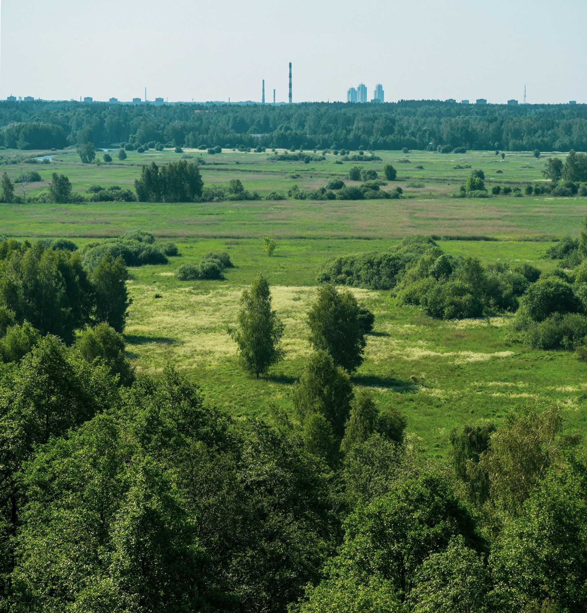 Relatório de Controle Ambiental - RCA