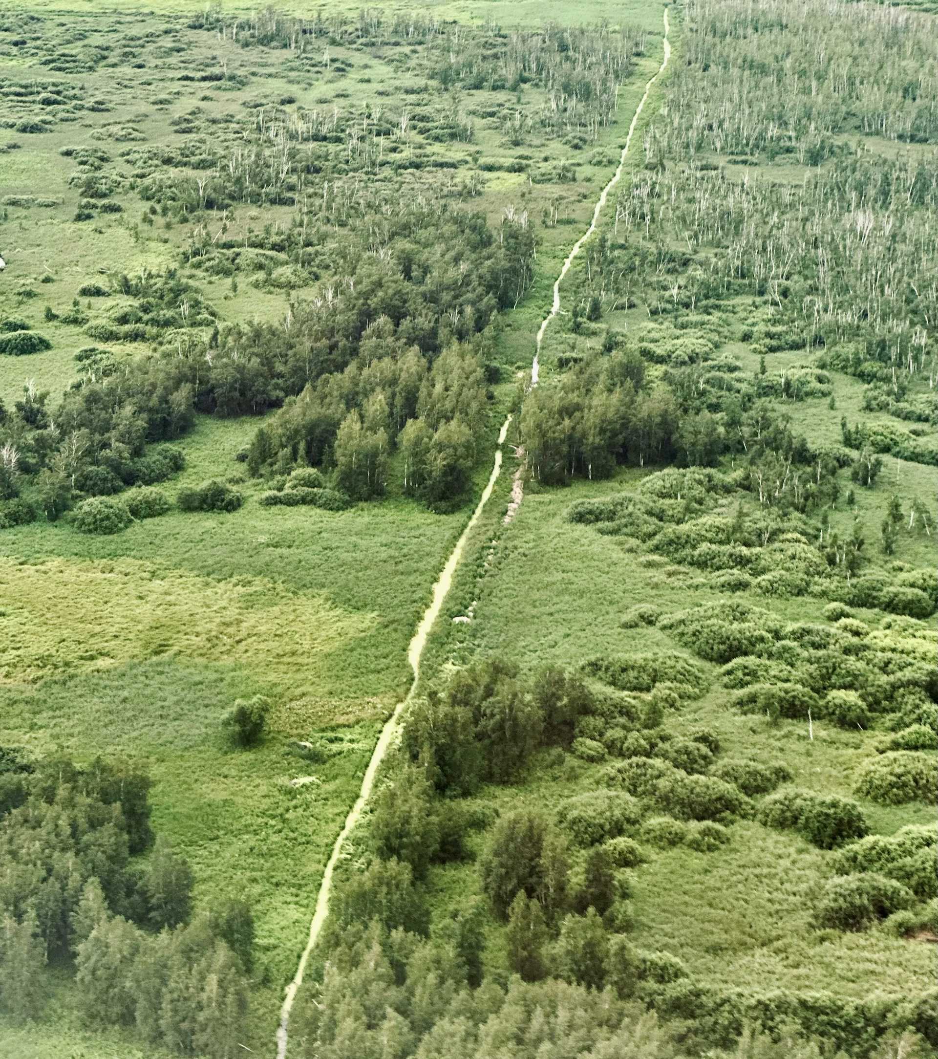 Processo de alteração de divisas