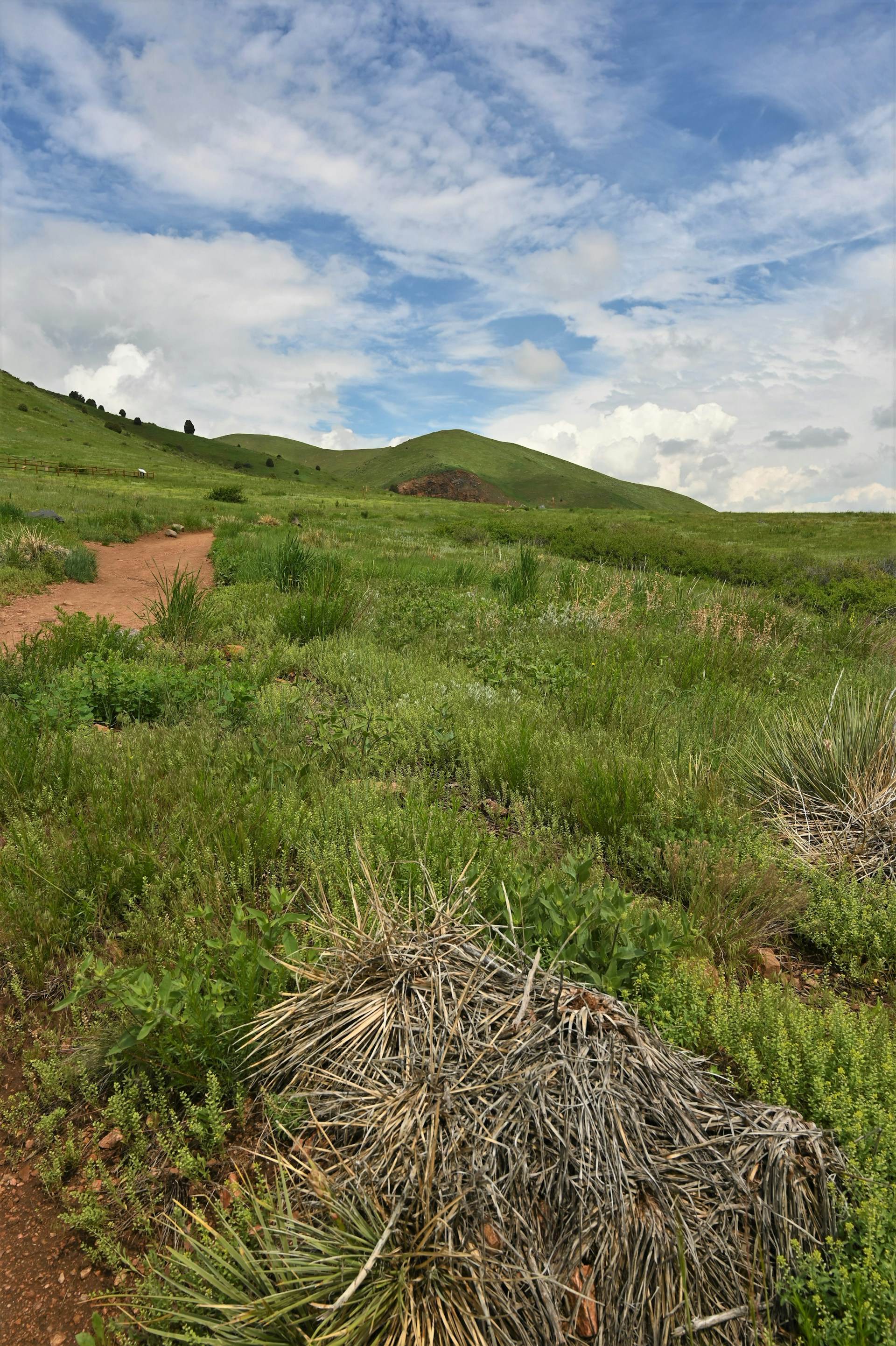 Estudo Ambiental Simplificado - EAS